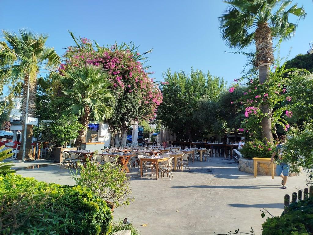 Miam Restoran fotoğraf 11
