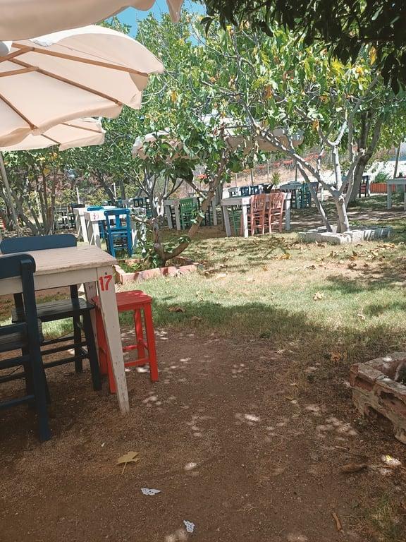 Doğal Annem Kahvaltı Evi fotoğraf 10