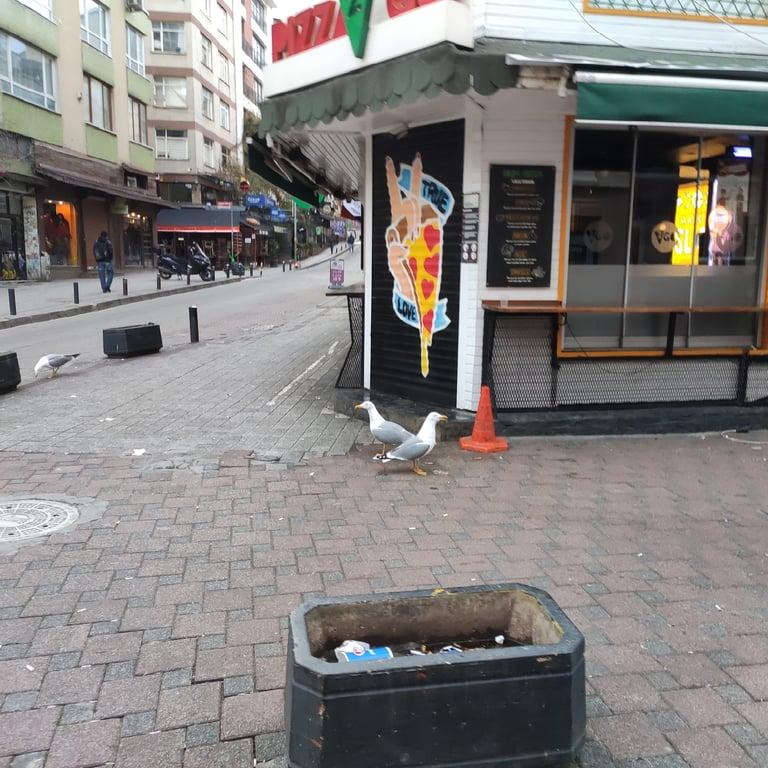 Pizza2Go fotoğraf 4