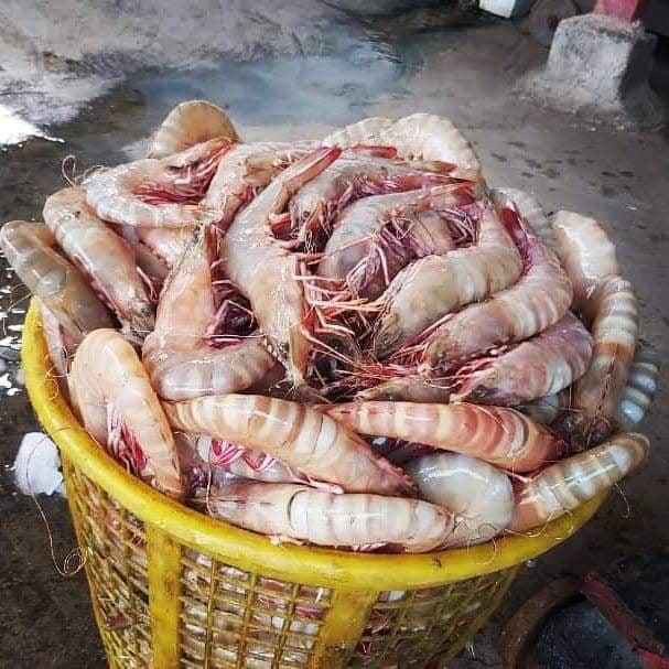 BALIK PAZARI ÇALIŞ fotoğraf 10