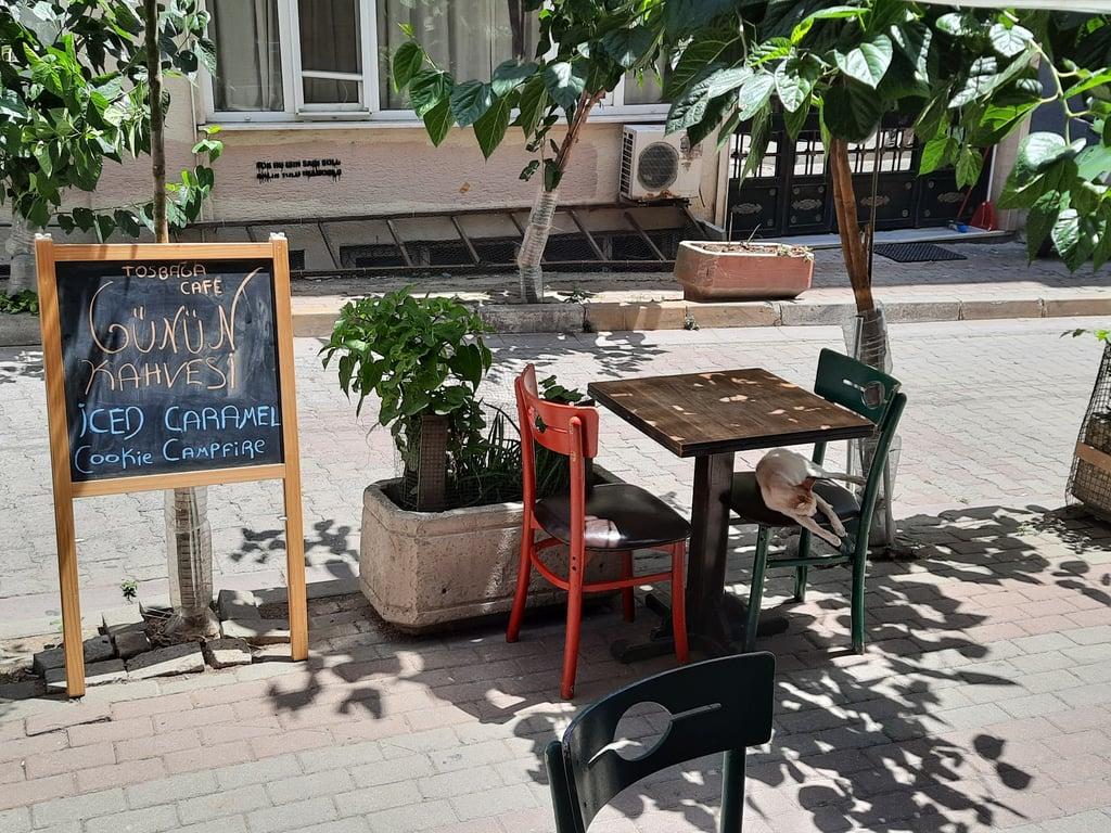 Tosbağa Cafe fotoğraf 17