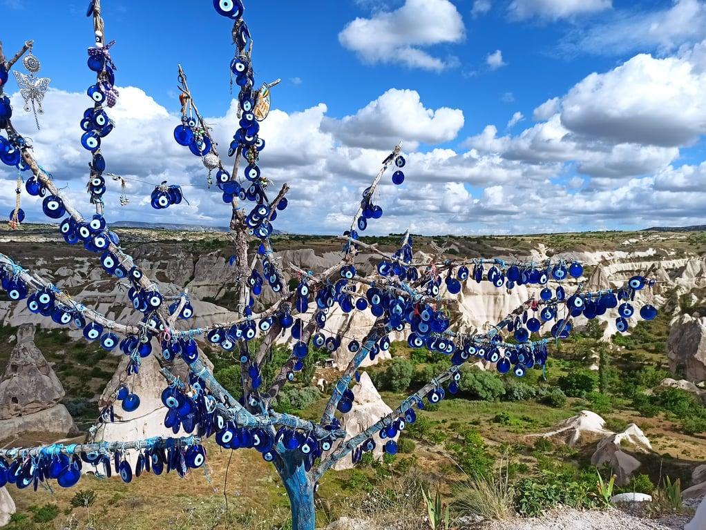 Salkım Tepesi Panorama fotoğraf 2
