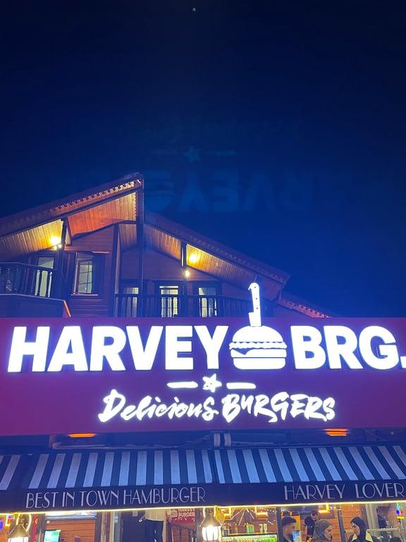 Harvey Burger Uzungöl fotoğraf 8
