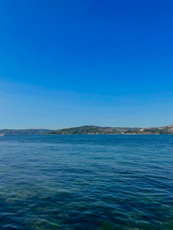 Taka balık fotoğraf 4