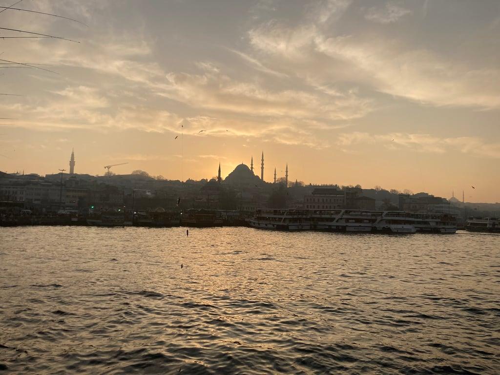 MAXIGALA fotoğraf 4