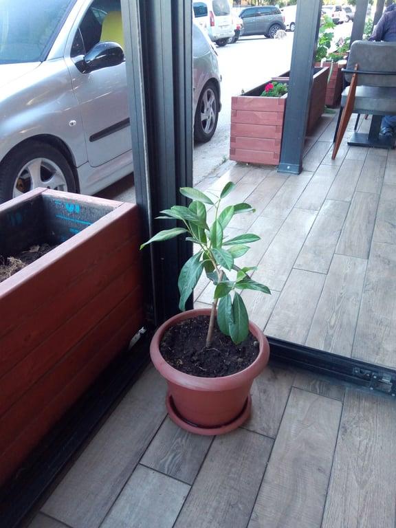 Derya Pastanesi & Cafe fotoğraf 1