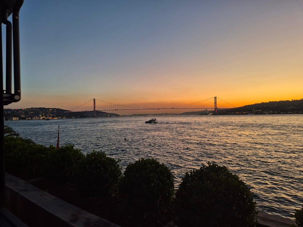 Chacha Balık fotoğraf 5