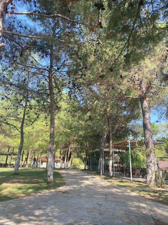 Ada Park Ula fotoğraf 11