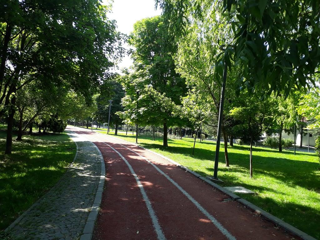 Hâcegân Sofrasi