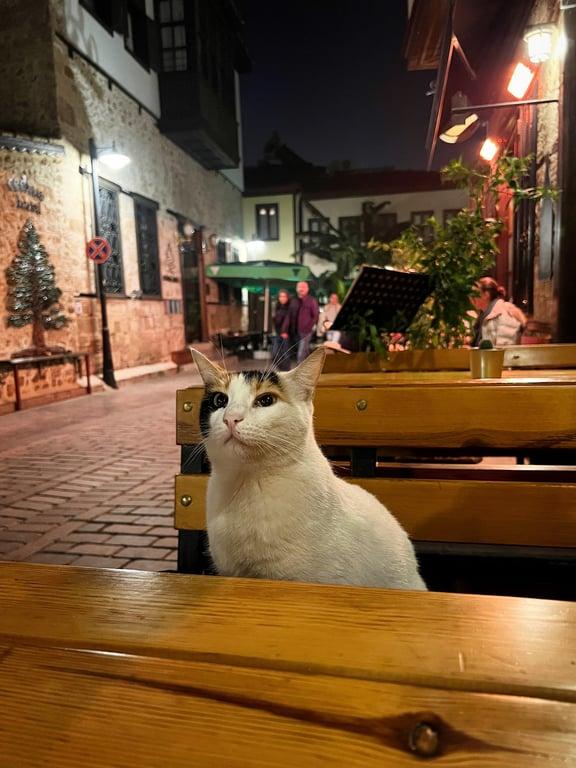 Karaf Bistro Kaleiçi fotoğraf 19