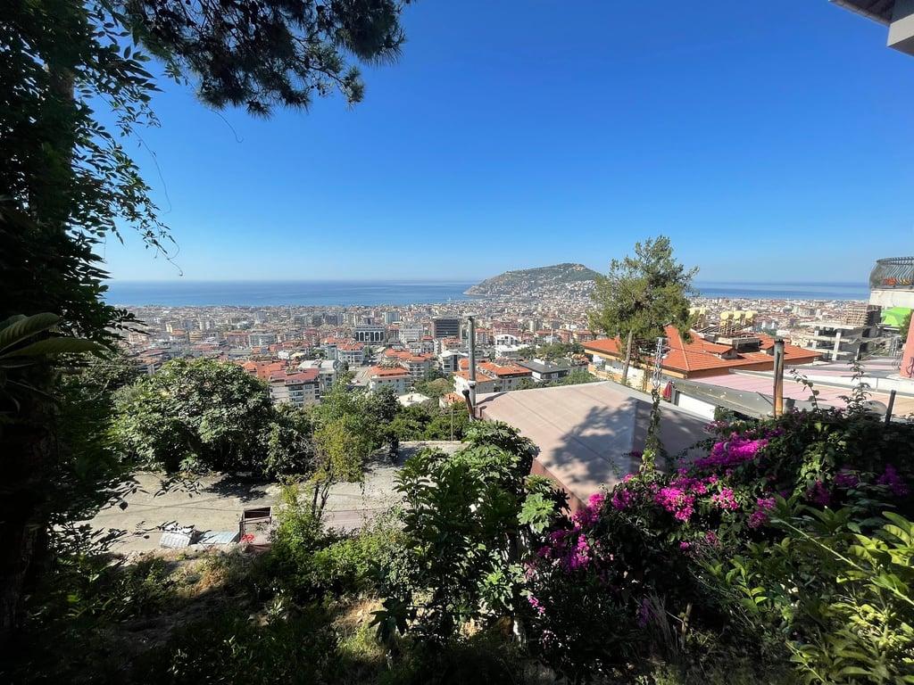 Zencefil cafe restaurant fotoğraf 3