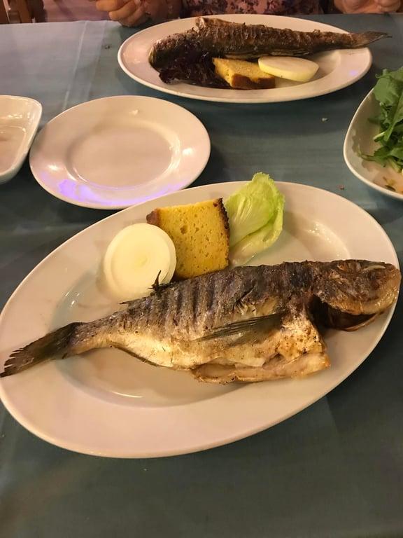 Yıldız Yakamoz Balık Restaurant fotoğraf 19