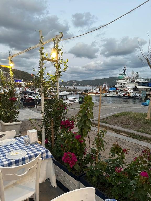 DOLPHIN BALIK RESTAURANT ( SARIYER BALIK RESTAURANT) fotoğraf 6
