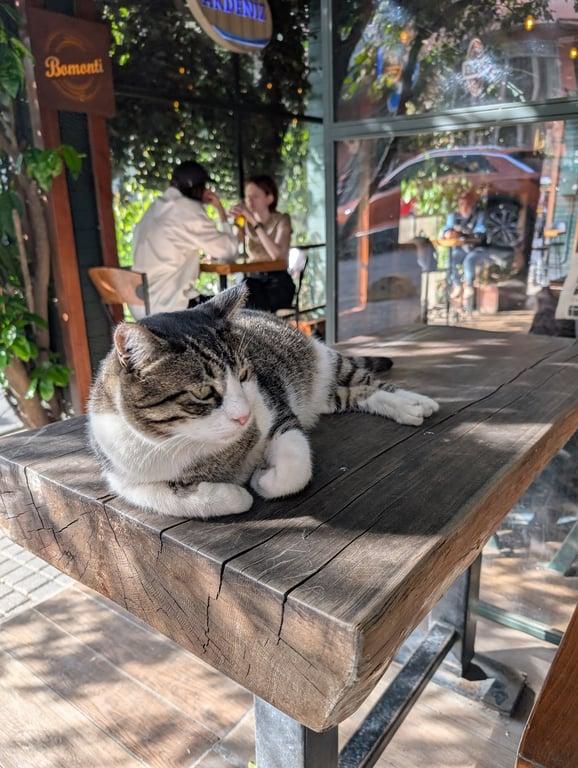Akdeniz Kafe fotoğraf 8