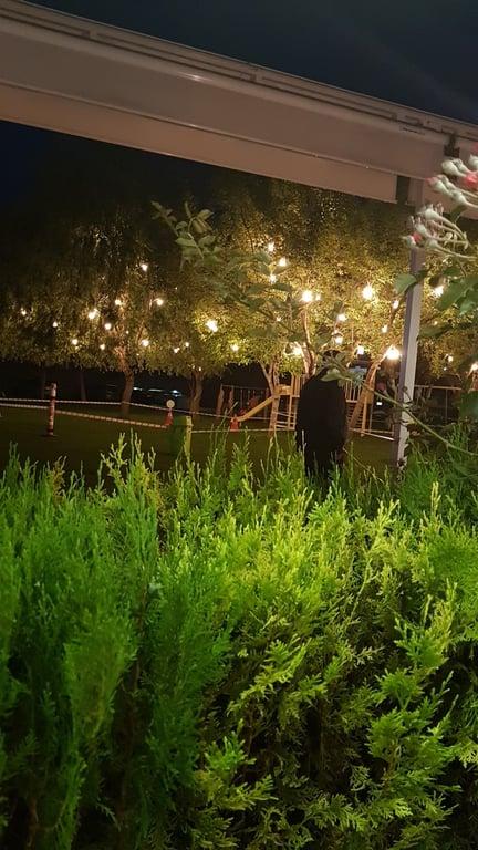 Kavaklı Restaurant fotoğraf 14