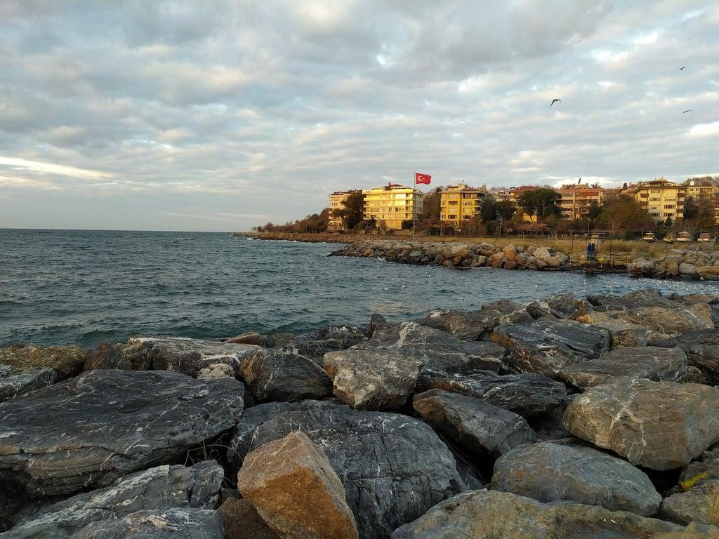 Karga fotoğraf 12