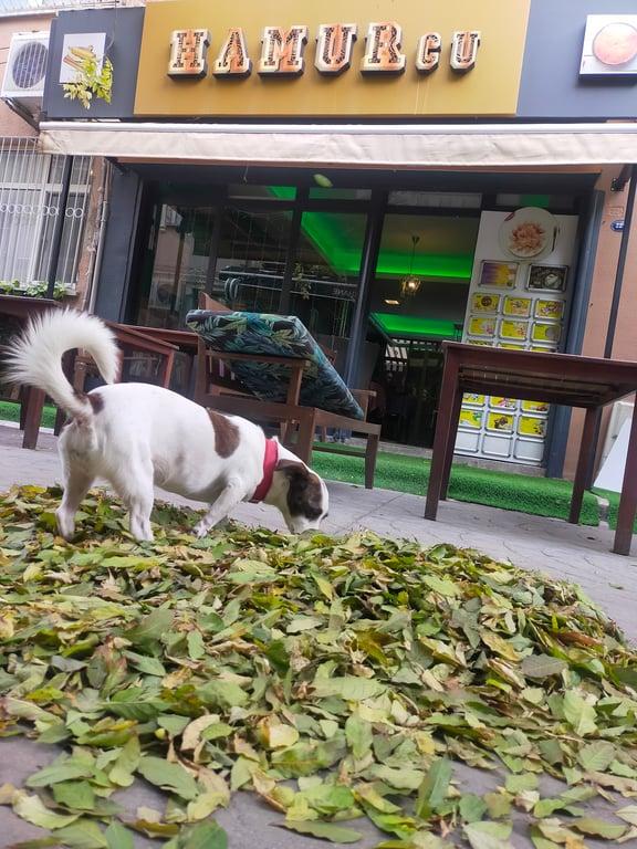 Hamurcu - Alsancak fotoğraf 13