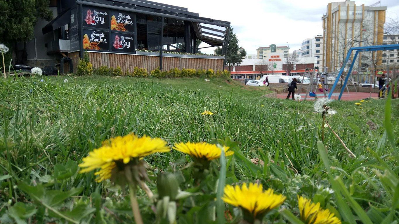 Clemence cafe fotoğraf 7