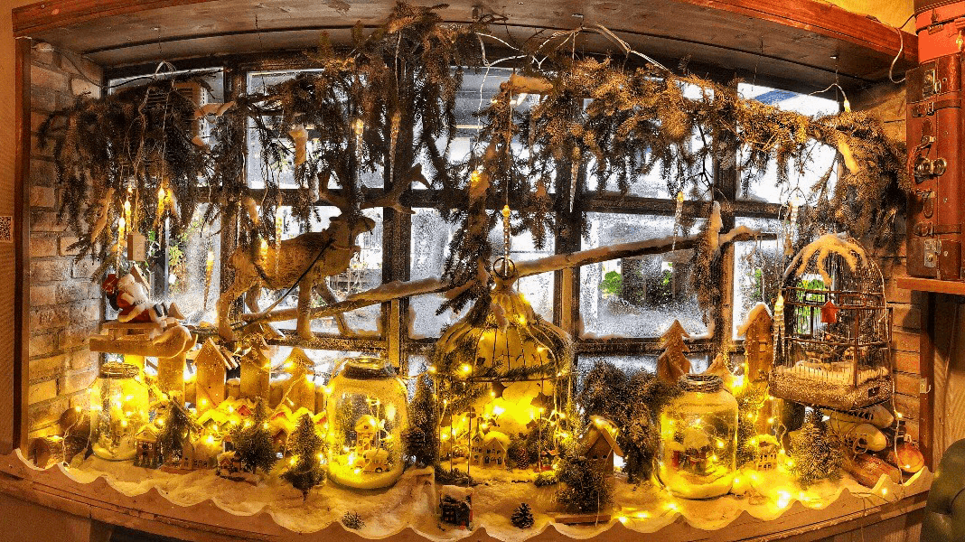 Cafe Botanica fotoğraf 5