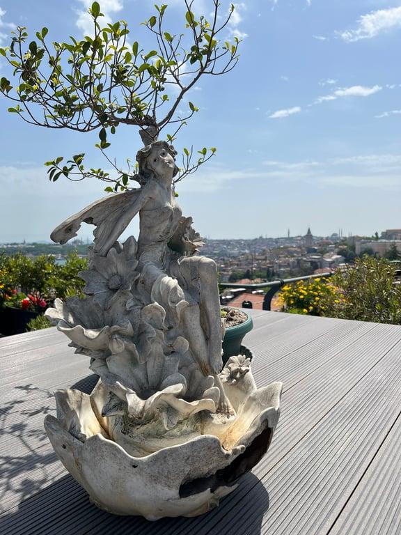 Terrace 41 fotoğraf 6