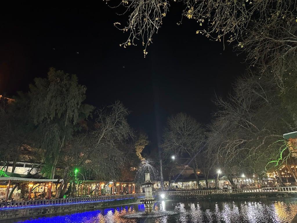 Urfa Sıra Gecesi fotoğraf 10