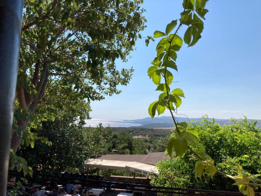 Assos Köyüm Restaurant fotoğraf 5