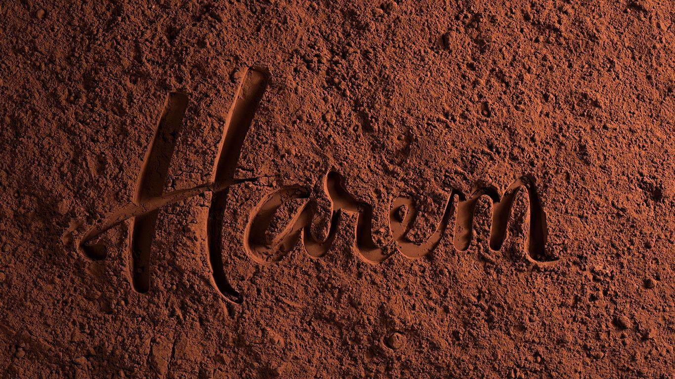 Harem Chocolate fotoğraf 10