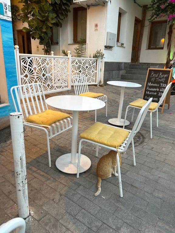 4Munchies Bodrum Merkez fotoğraf 12