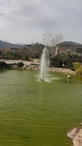 KÖSTEM ZEYTİNYAĞI MÜZESİ fotoğraf 2