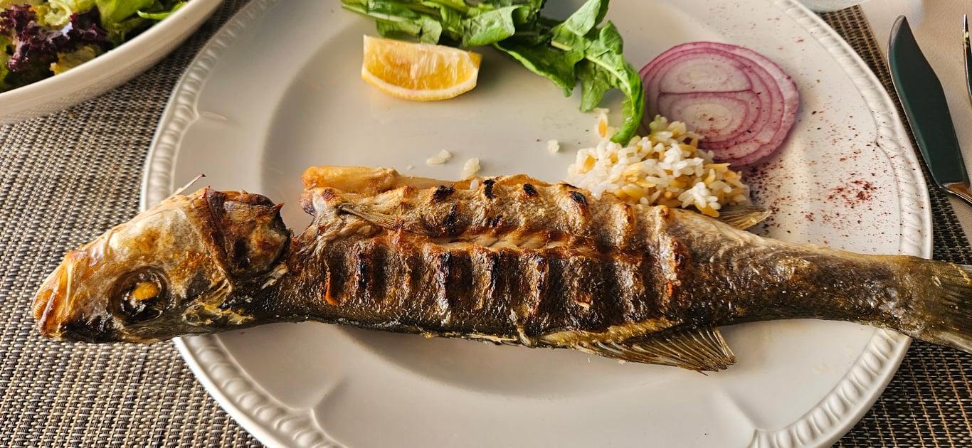 Nejat Balık fotoğraf 5