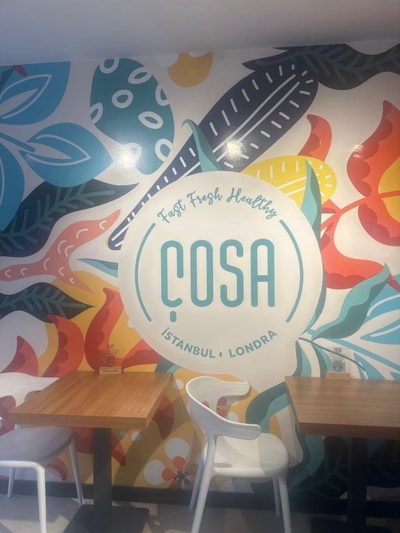 Çosa fotoğraf 3