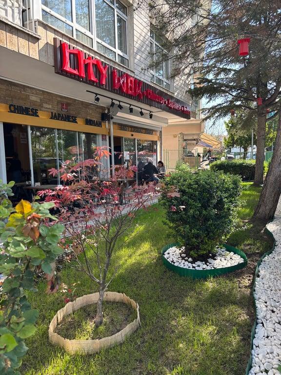 City Wok fotoğraf 17