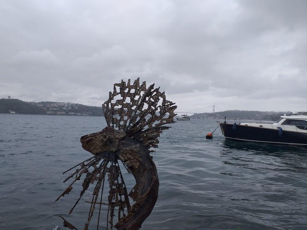Yenikoy Spor Kulubu Tesisleri/Yeniköy Sahil Kafe Restoran