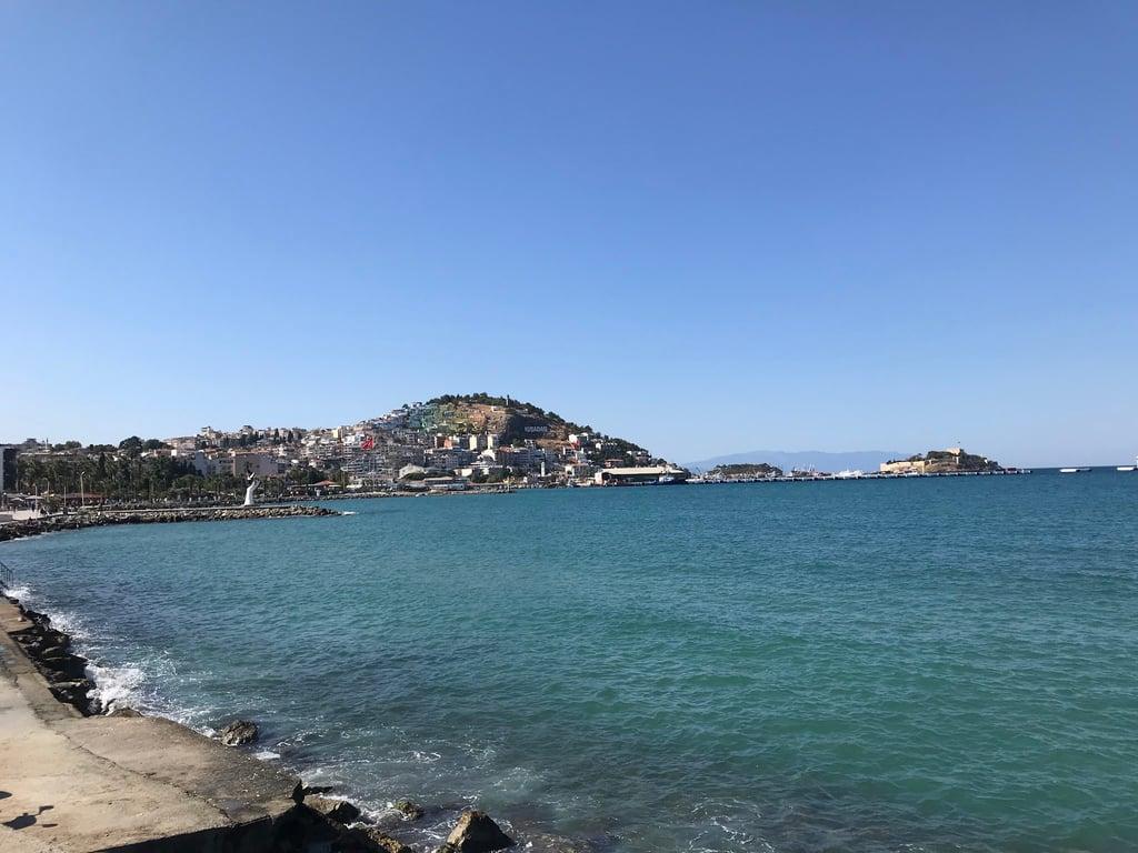 Cafe Marin fotoğraf 11