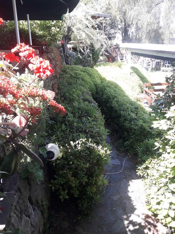 Cafe Messt Restaurant fotoğraf 5