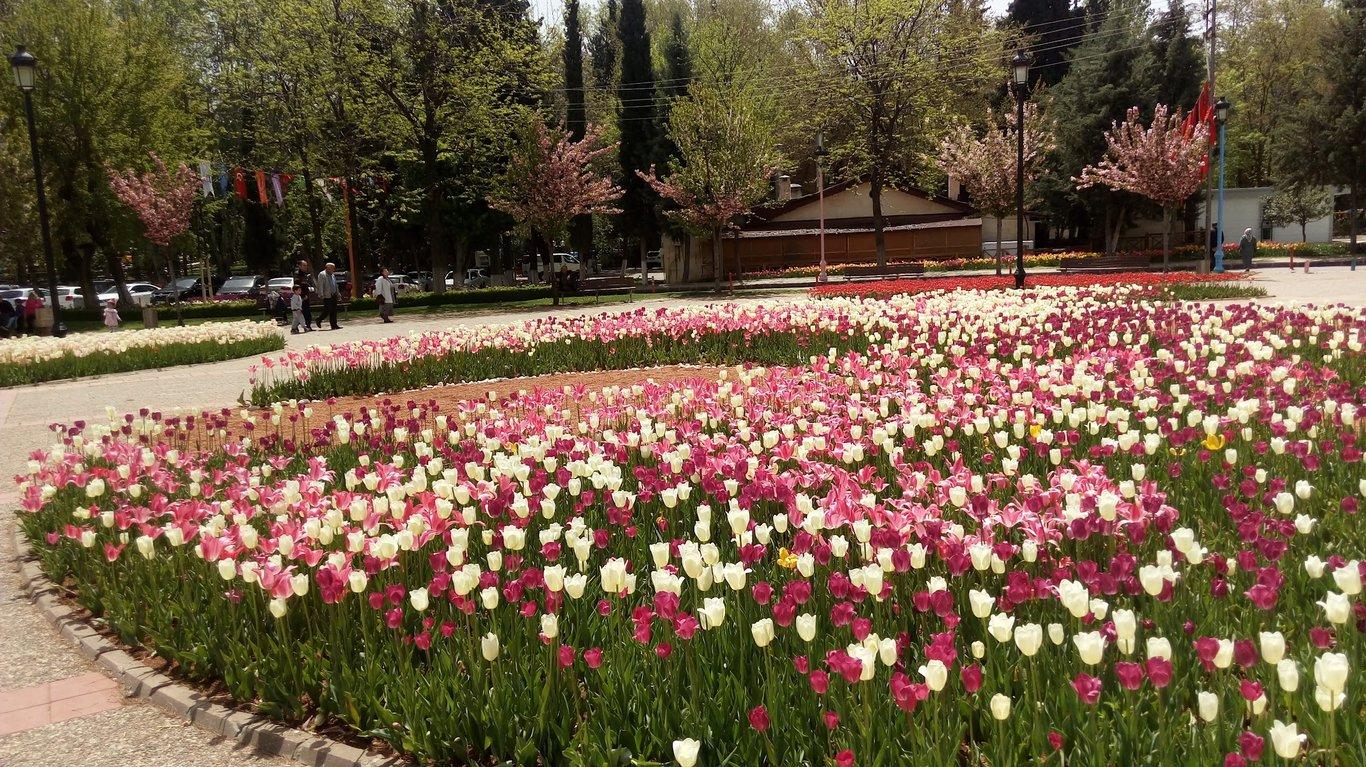 Gaziantep Baro Lokali fotoğraf 8