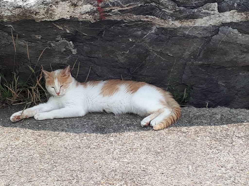 Khalkedon Kalamış fotoğraf 1