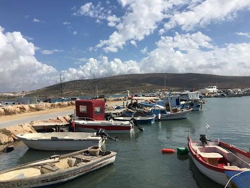 Marin Alaçatı fotoğraf 6