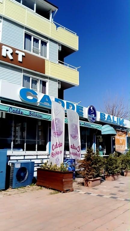 Cadde Balıkçısı fotoğraf 10