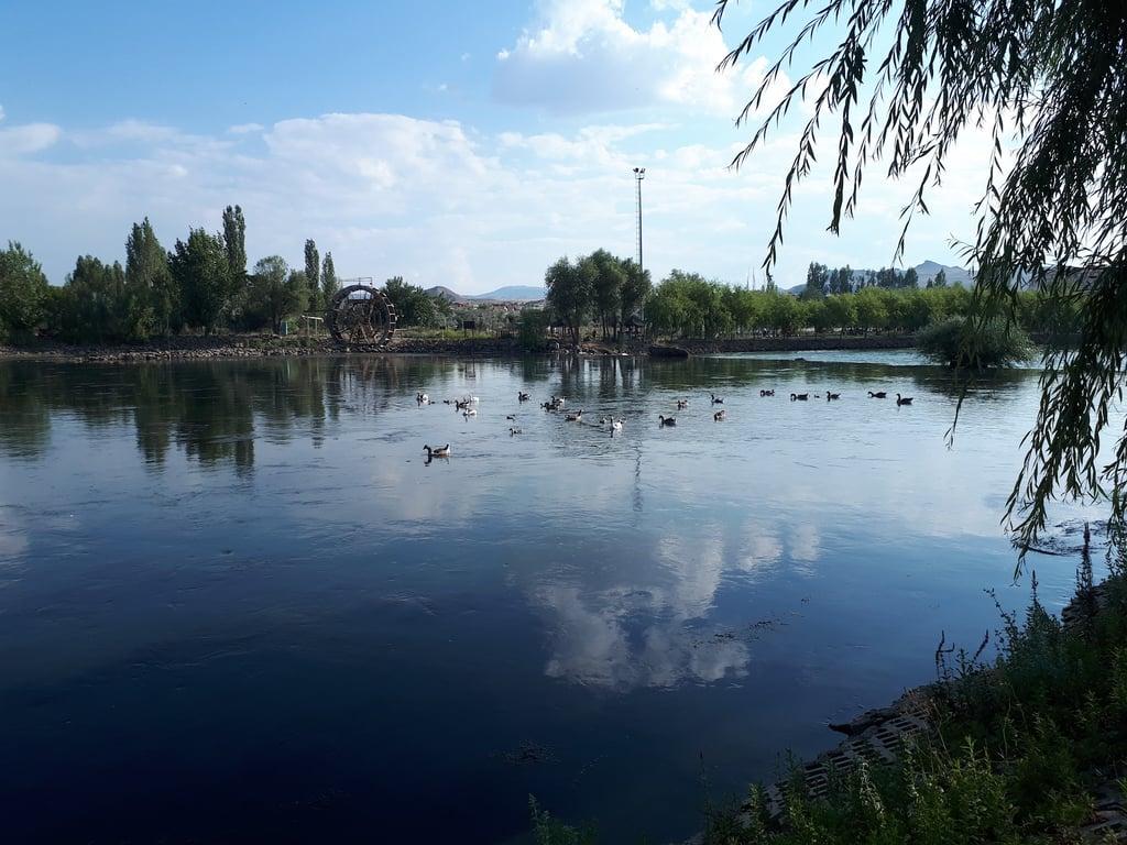 Ulaş Cafe fotoğraf 6