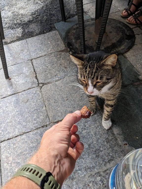Mangal Keyfi fotoğraf 3