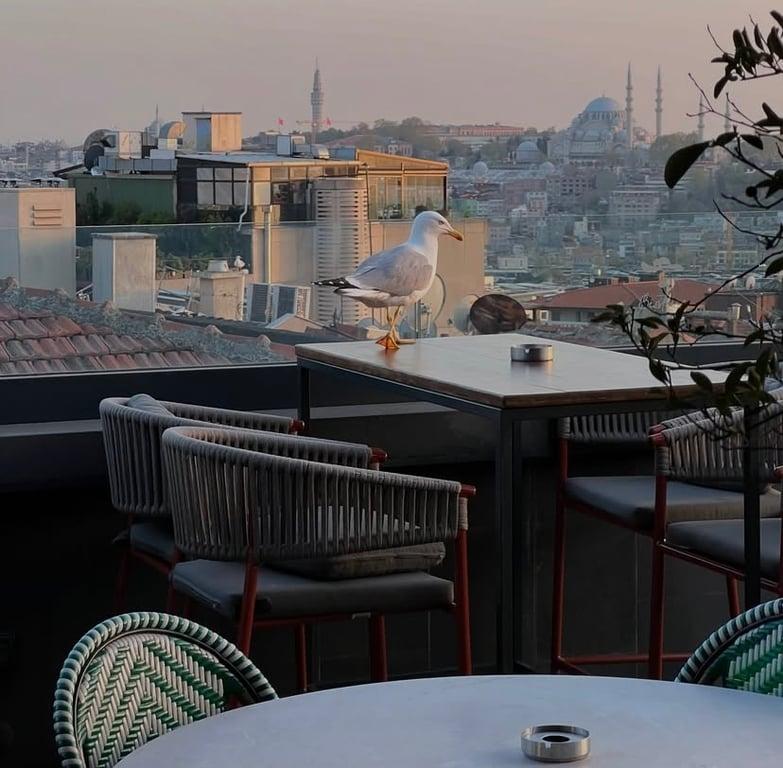 Béatrice Rooftop, Restaurant fotoğraf 9