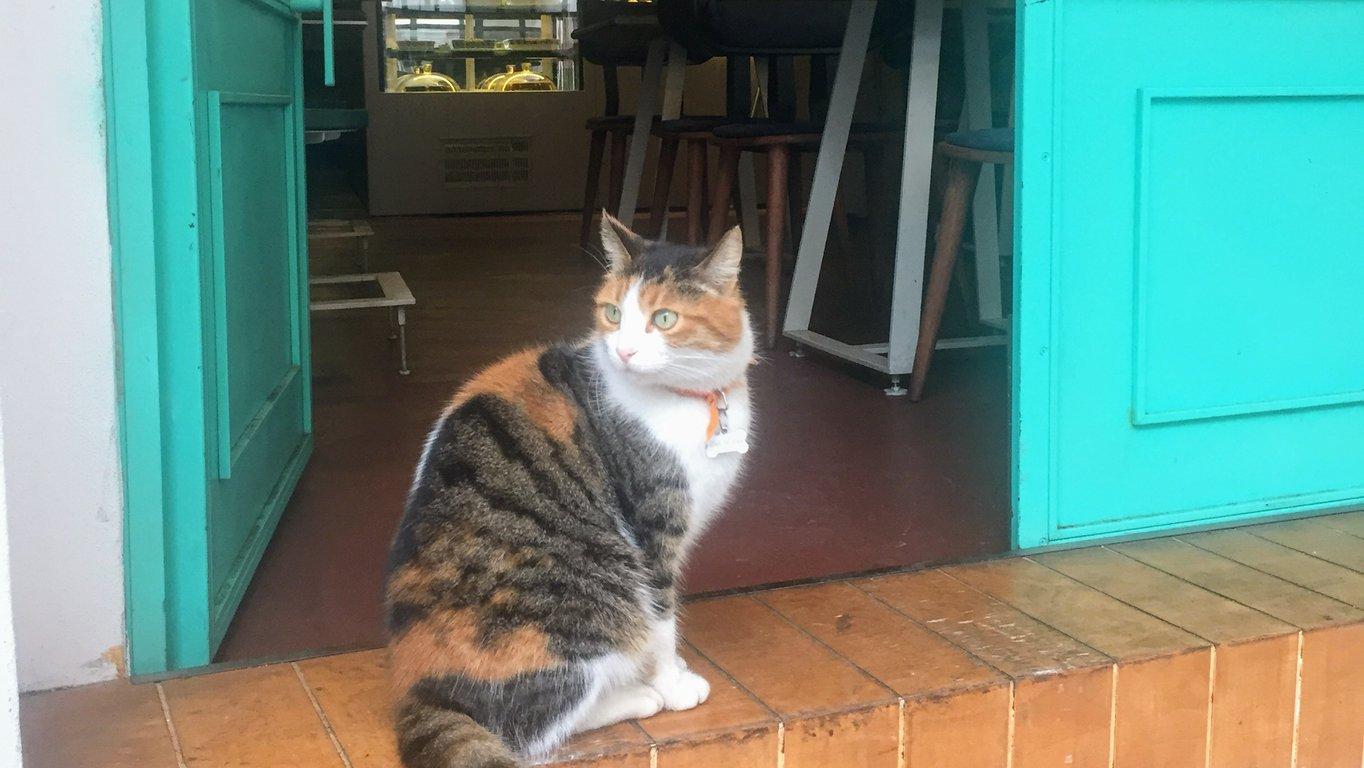 LEYLAK RESTORAN