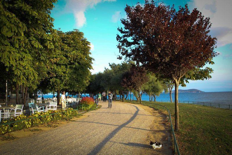 Fenerbahçe Parkı fotoğraf 4