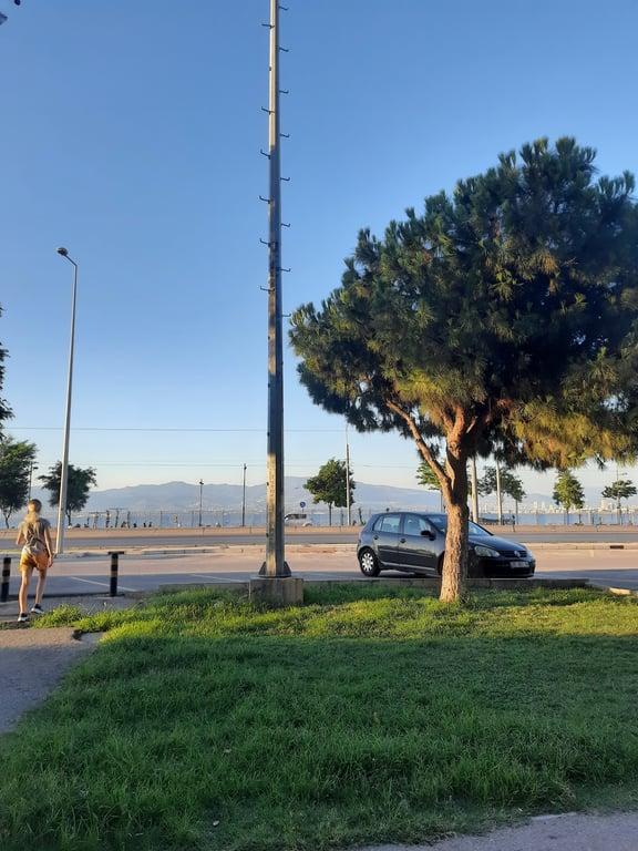 EGELİM RESTORANT fotoğraf 17