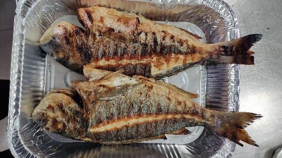 Yelken Balik Evi fotoğraf 2