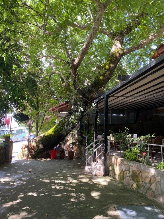 HAMMUŞUN YERİ YAĞMUR KAHVALTI SALONU fotoğraf 11