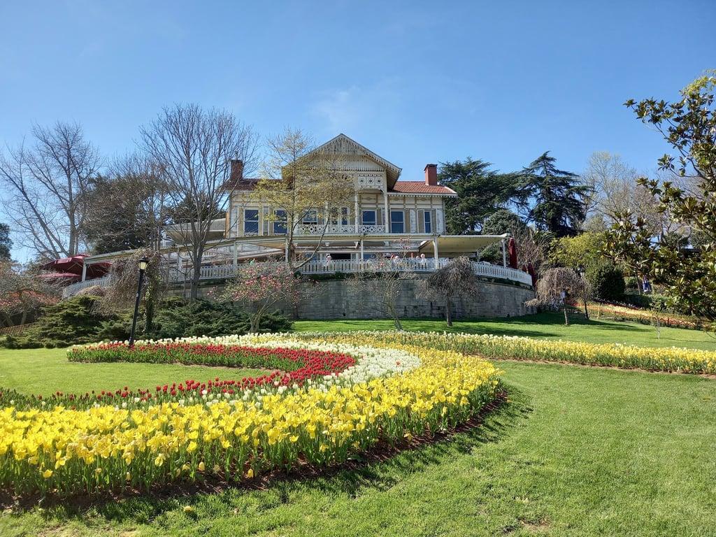 Sarı Köşk, Beltur fotoğraf 20