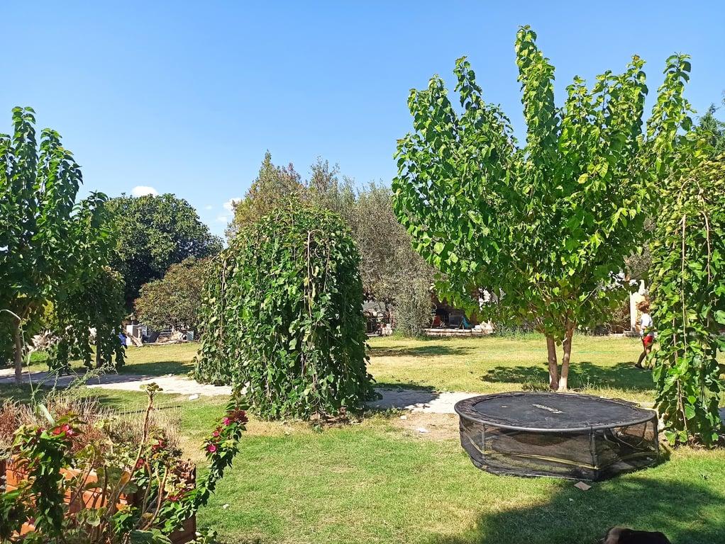 İnek Obası - Urla Kahvaltı fotoğraf 10