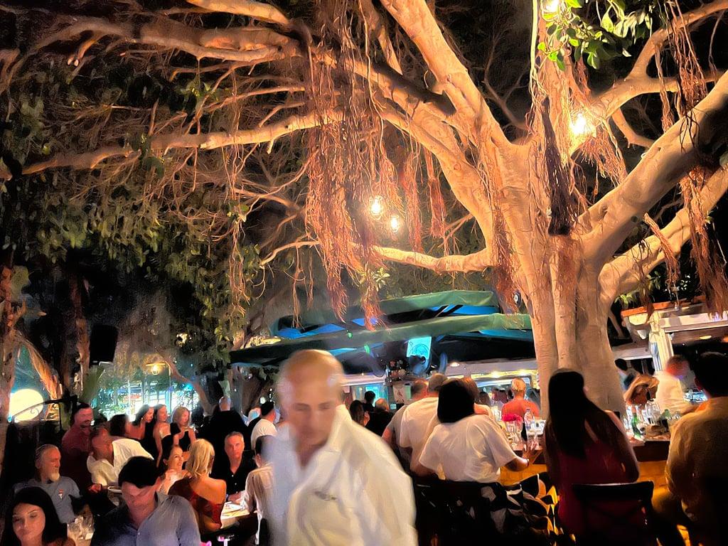 Miam Restoran fotoğraf 2